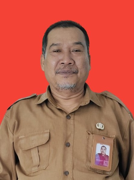 AMIR HAMZAH